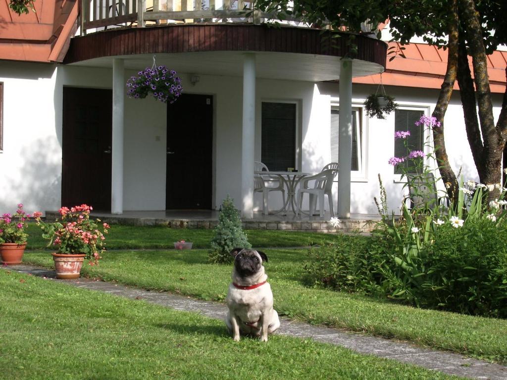 Maenni Guesthouse ハープサル 部屋 写真