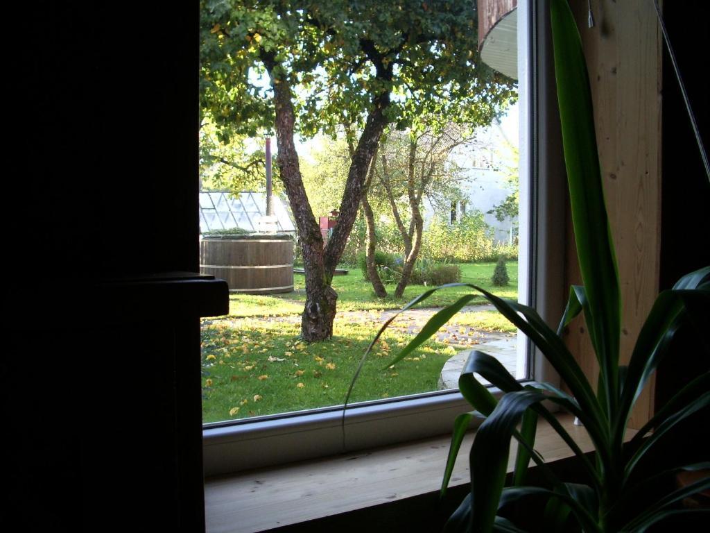 Maenni Guesthouse ハープサル 部屋 写真